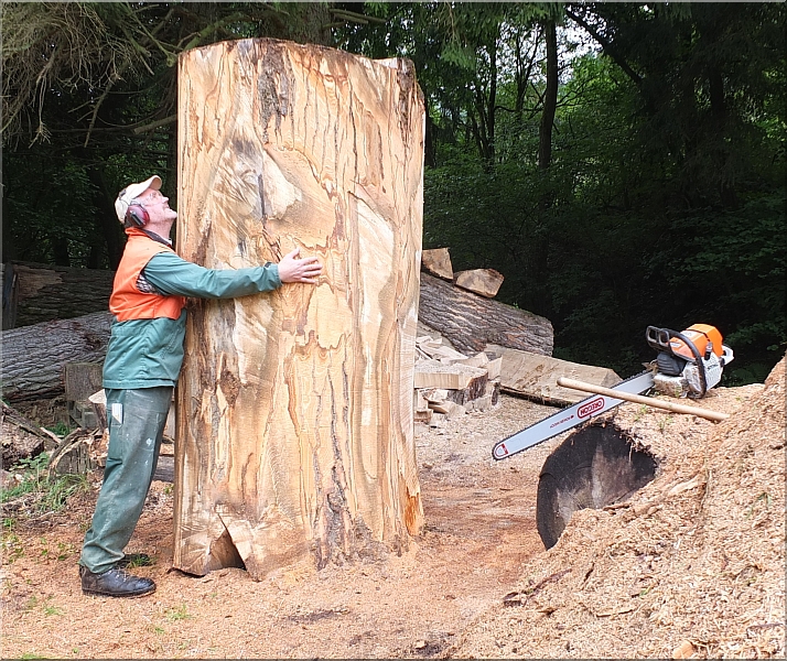 grizzly  b�r holzwerker jochen adam schnitzen mit der motors�ge